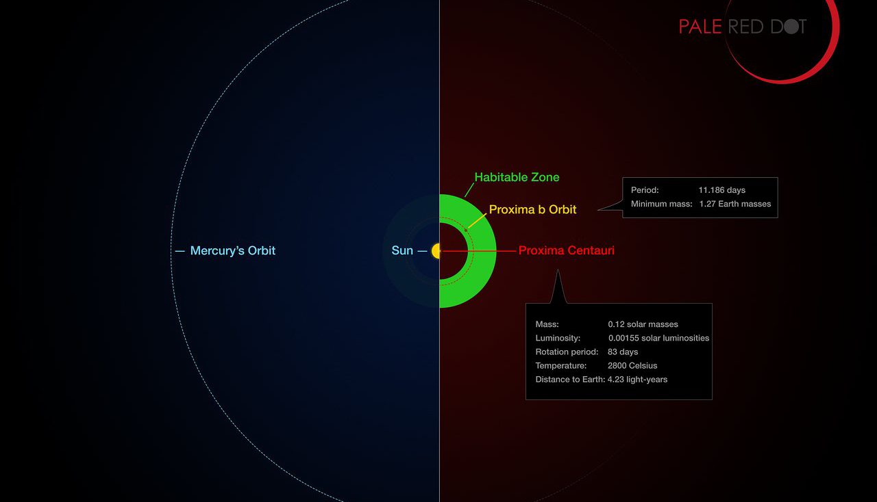 Earth-like planet found around our nearest star - Proxima Centauri