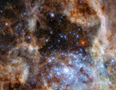 Monster stars revealed by Hubble Space Telescope